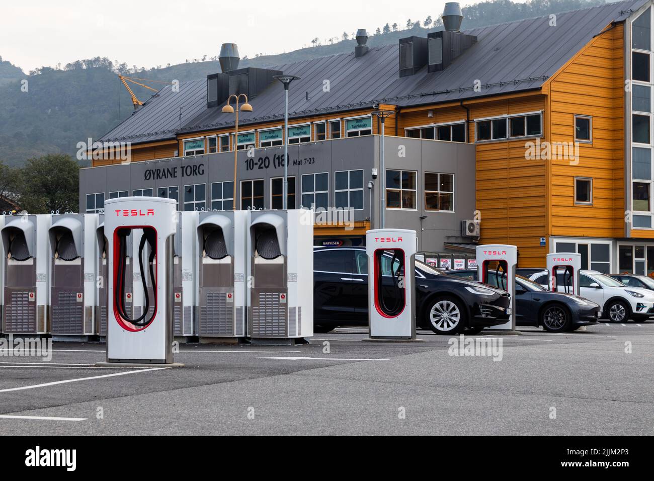 Core Insights from High EV Penetration Markets for Tesla's Global Strategy