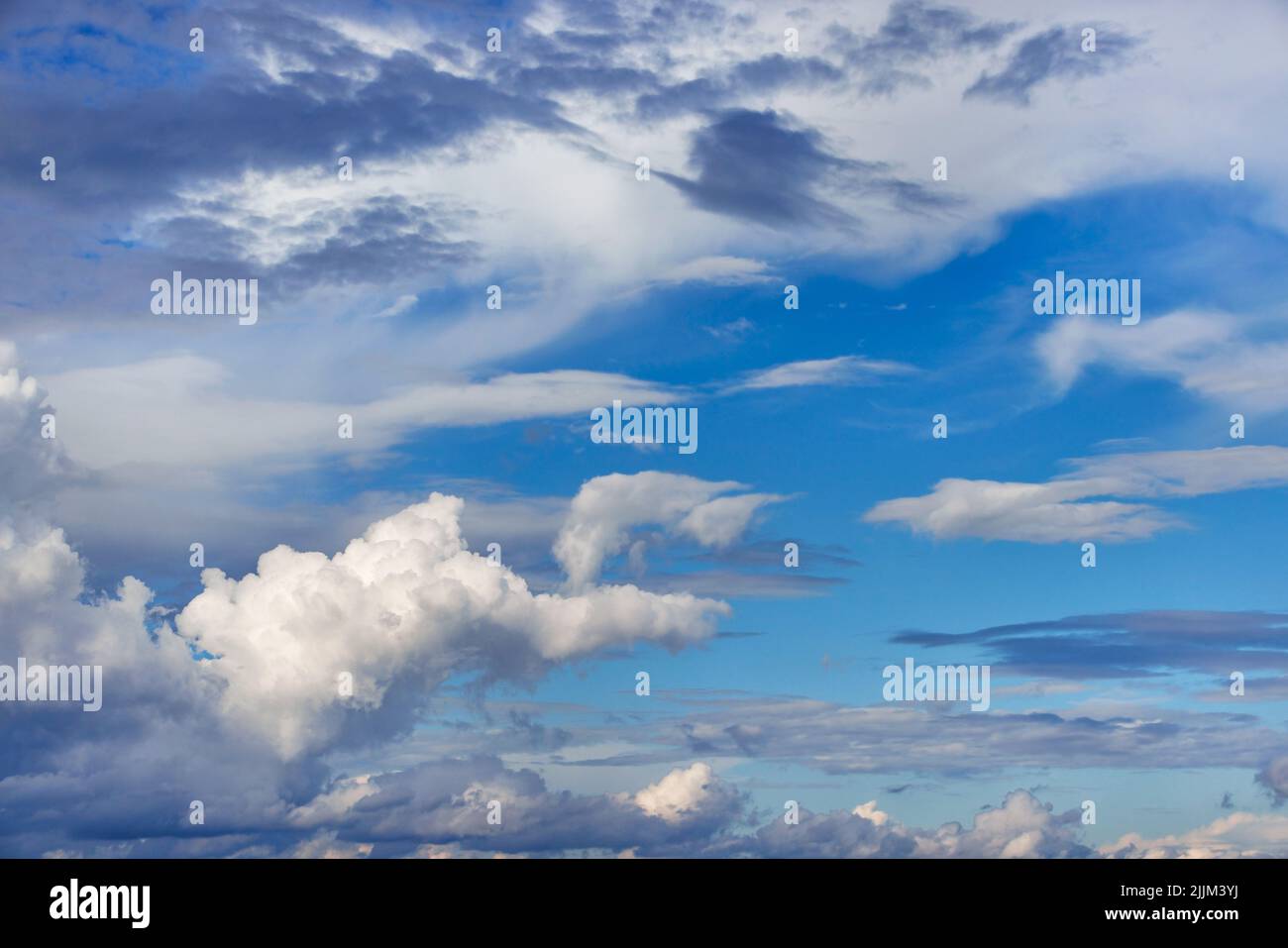 Beautiful curly white clouds on a blue sky. Stock Photo