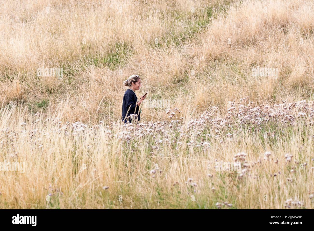 London ,United Kingdom  -27/07/2022. .A person is seen walking across a dry and parched Hampstead Heath, North London as the UK could face a Drought i Stock Photo