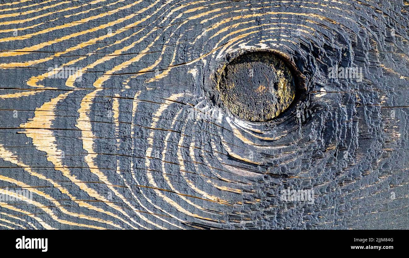 Wooden background. Burnt wood. Black and gold colors Stock Photo - Alamy
