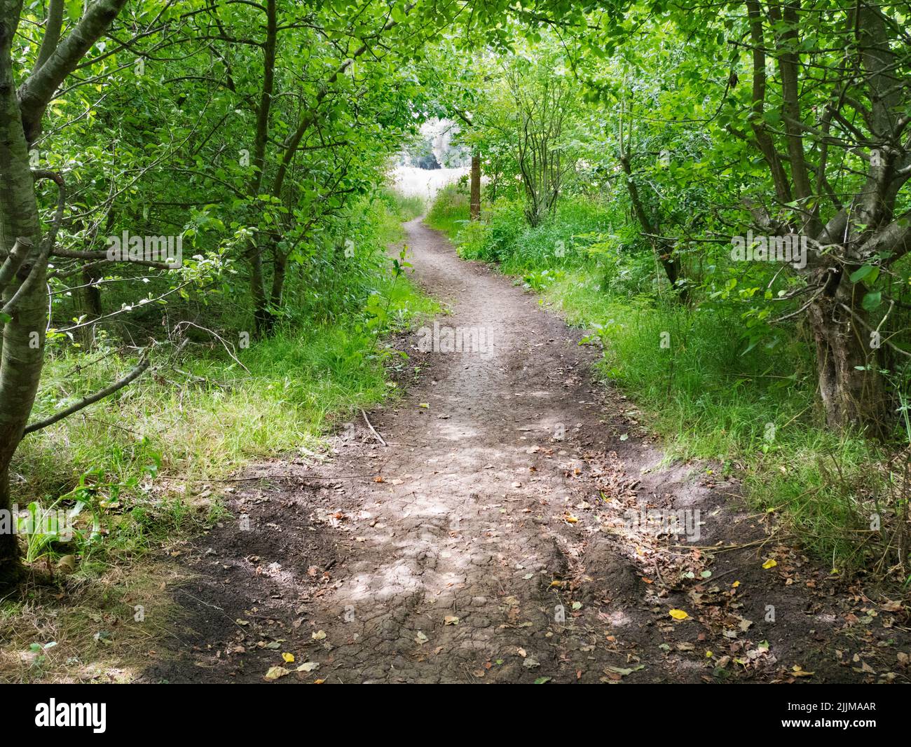 This delightful footpath leads from lower Radley Village to the River Thames as it wends its way through rural Oxfordshire. Stock Photo