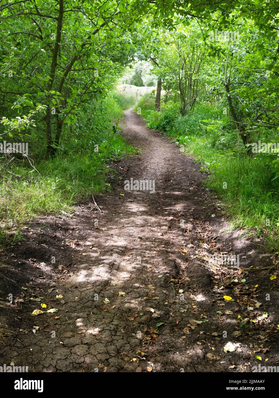 This delightful footpath leads from lower Radley Village to the River Thames as it wends its way through rural Oxfordshire. Stock Photo