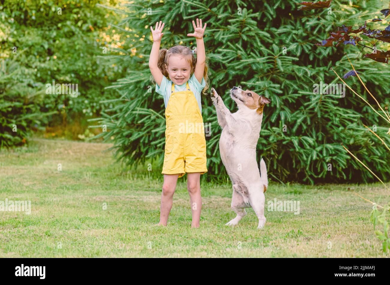 Funny girl and her dog doing fitness exercises outdoors stretching and rearing up Stock Photo