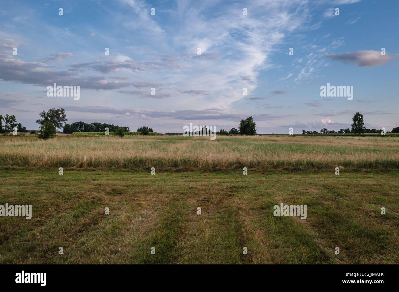 Evening view of meadow in Wegrow County, Mazovian Voivodeship of Poland Stock Photo