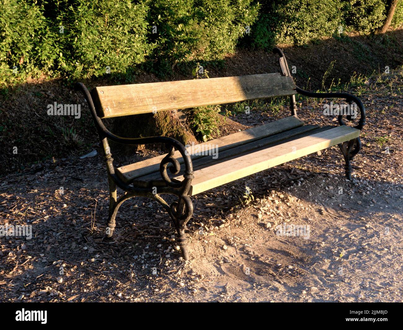 An old bench in the sun Stock Photo Alamy