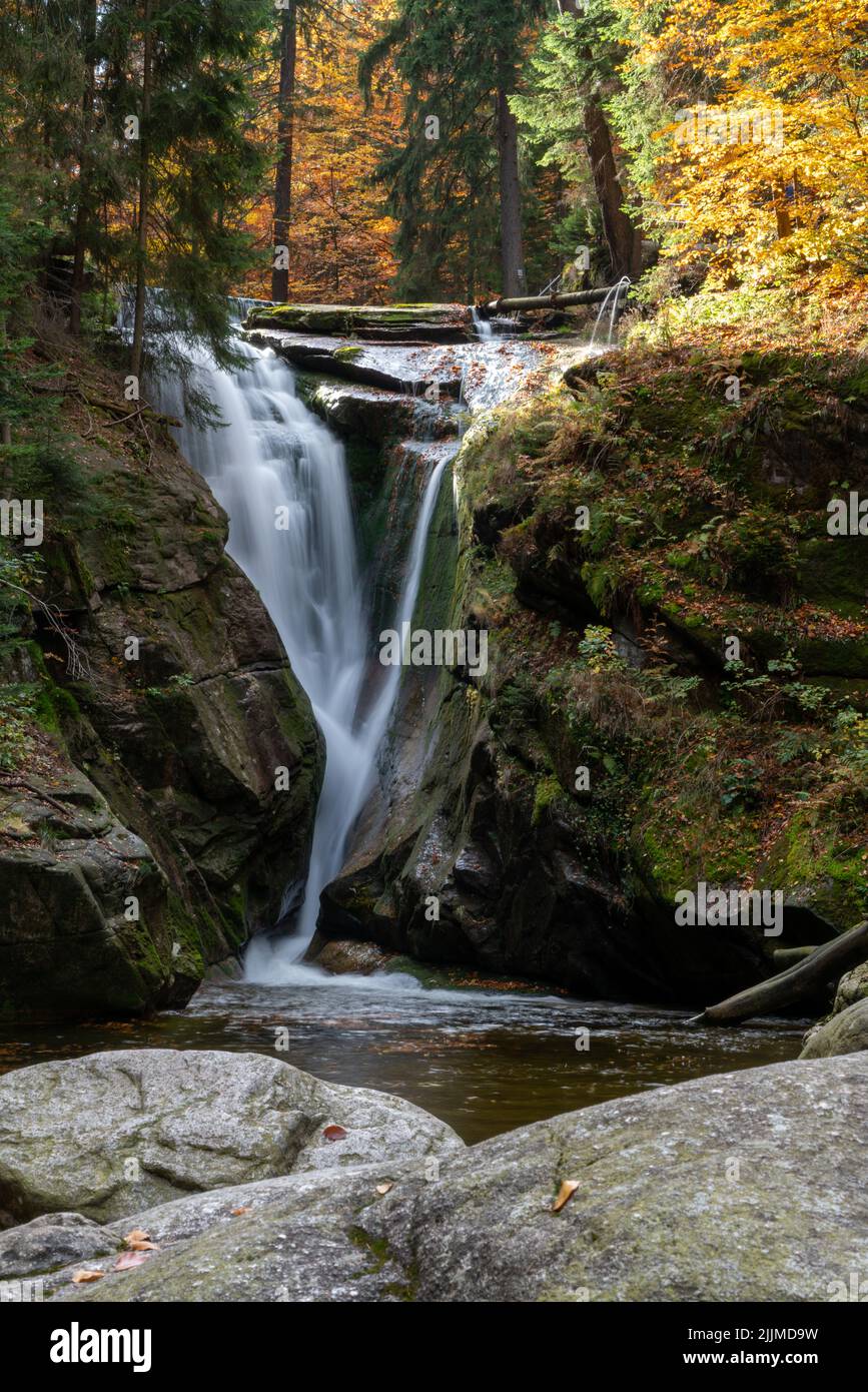 A vertical long exposure shot of a waterfall flowing on mossy rocks in ...