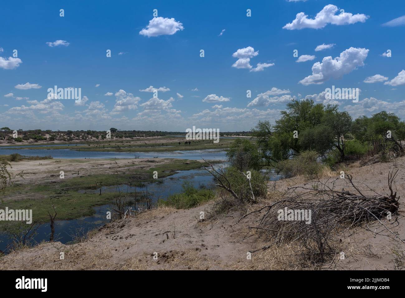the Boteti river at low tide in summer, Botswana Stock Photo