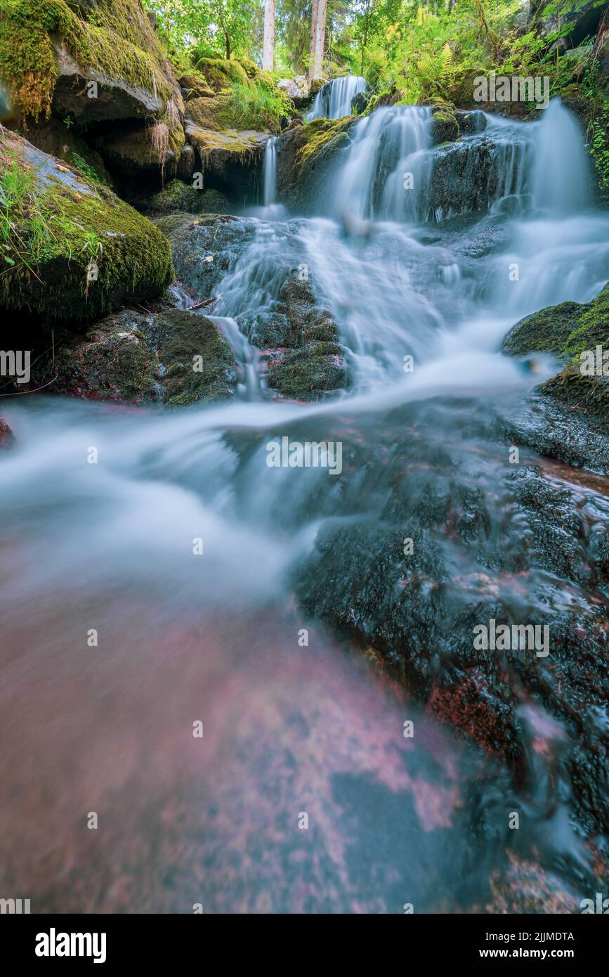 A vertical shot of a beautiful waterfall flowing in the forest Stock ...