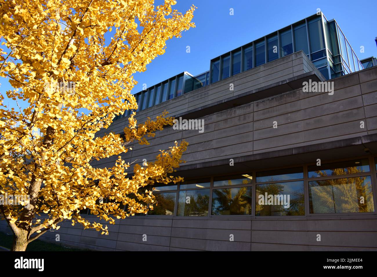 University of Chicago - Booth School of Business — Woodhouse