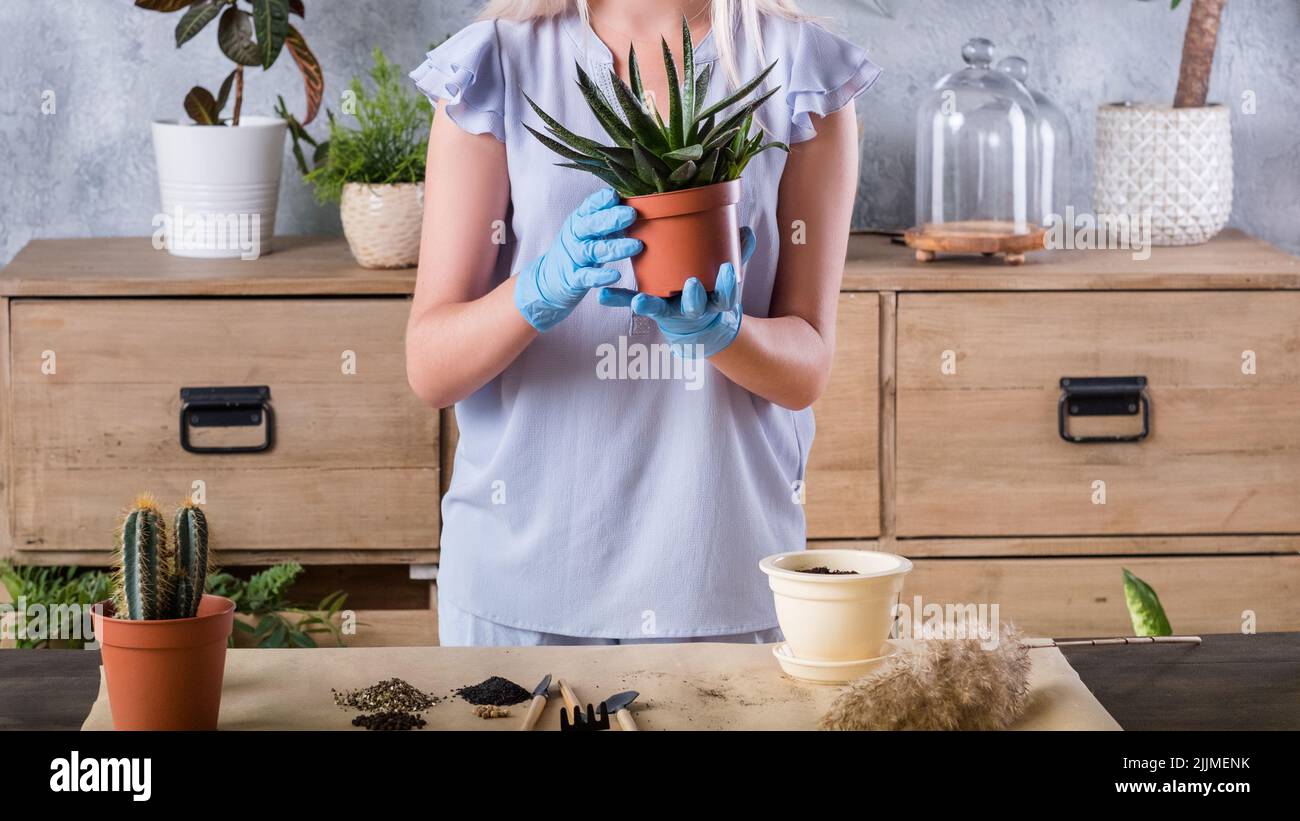 Plant gardening tools hi-res stock photography and images - Alamy