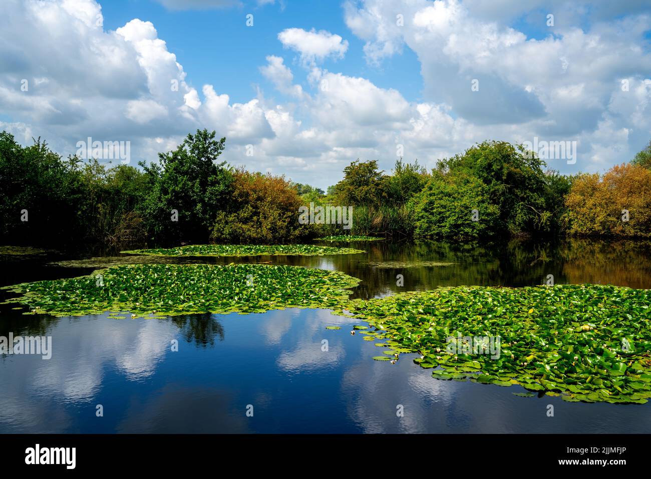 Westhoek nature reserve hi-res stock photography and images - Alamy