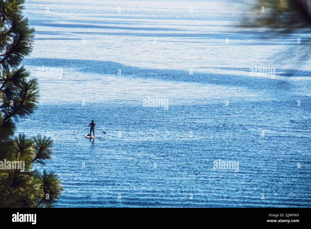 Alone in the blue water of Lake Tahoe, a lone man stands on paddleboard headed away from shore - framed by bokeh evergreen trees Stock Photo