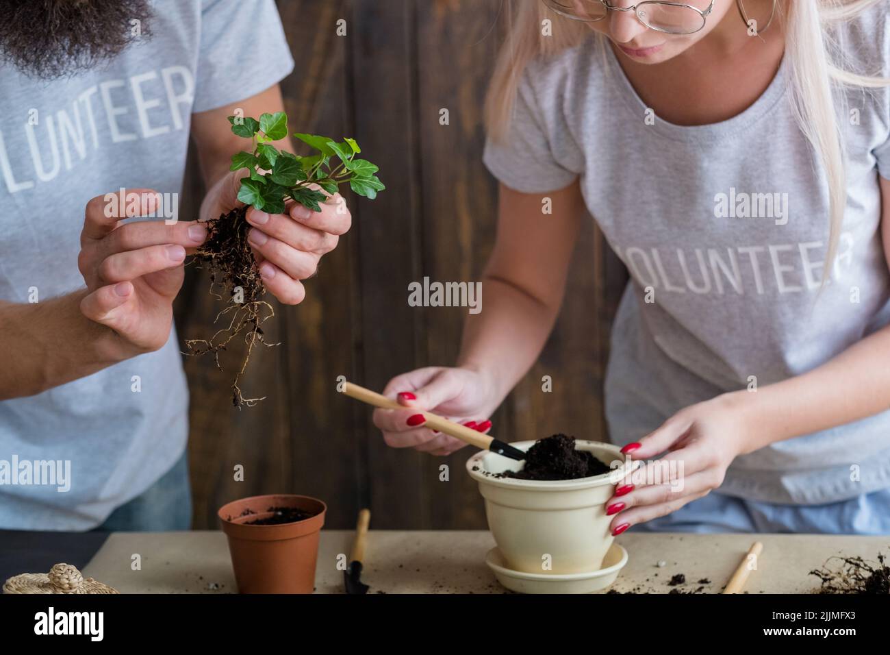 volunteer gardening lifestyle seedling germination Stock Photo