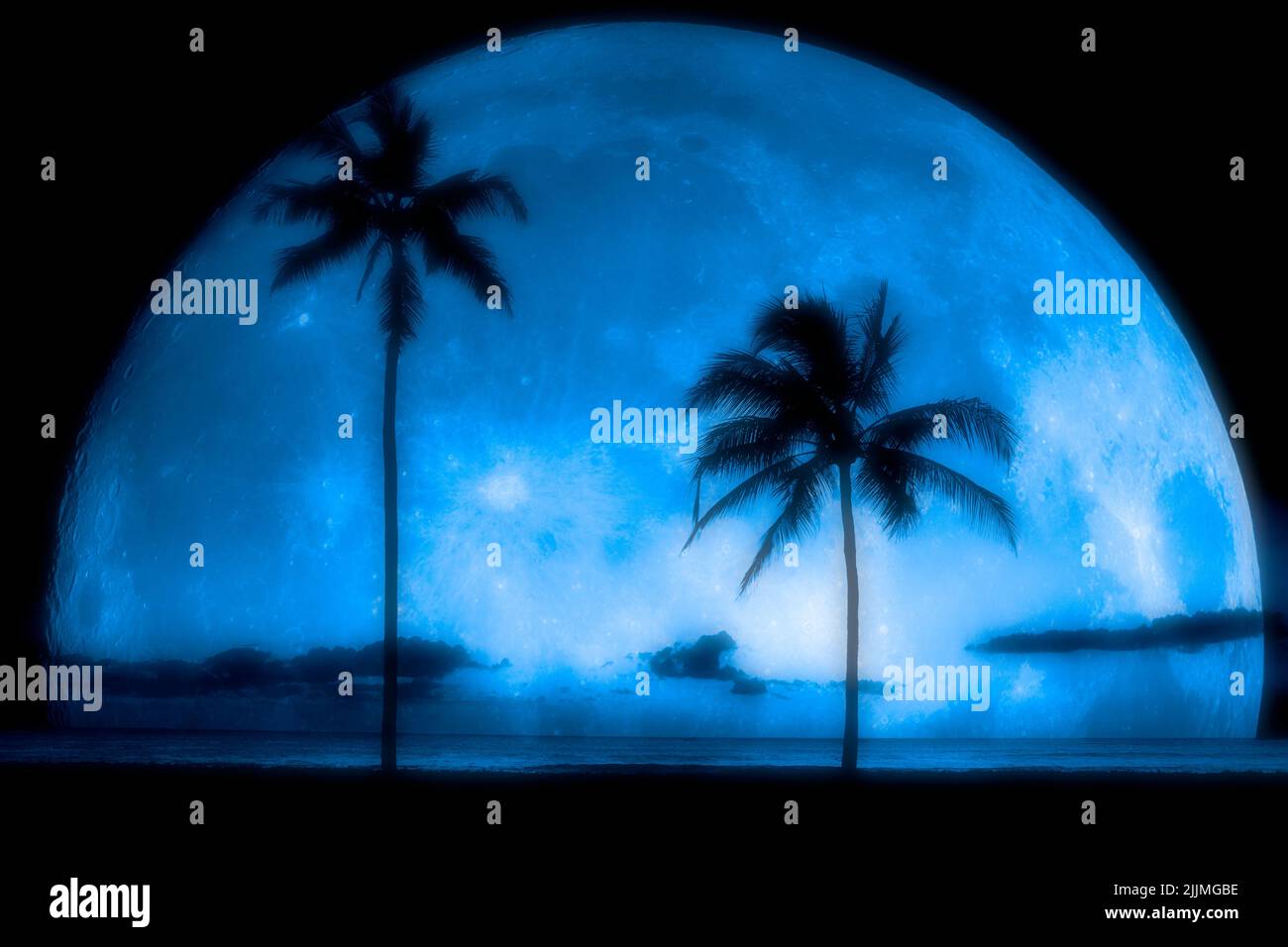 Dreamy misty Palm trees silhouetted sunset near ocean beach tropical location Full Moon Stock Photo