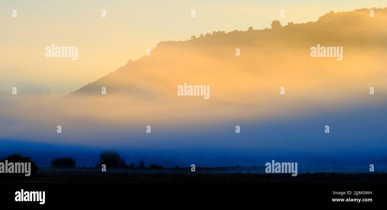 Scenic view of foggy valley meadow with trees and morning sunlight Stock Photo