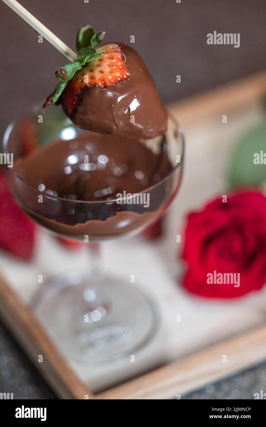 close up of a freshly dipped strawberry in dark chocolate with a red rose as a love concept Stock Photo