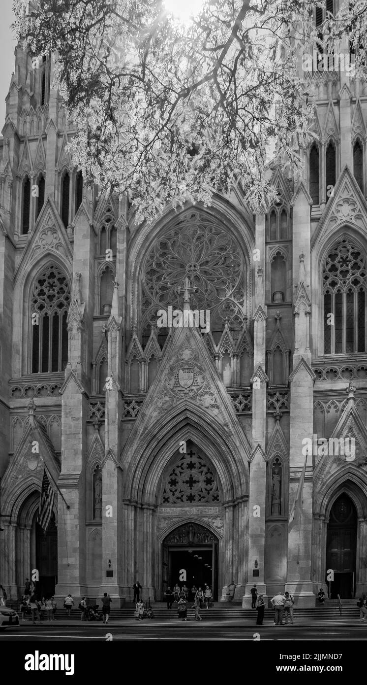 A grayscale shot of St. Patrick's Church in New York Stock Photo