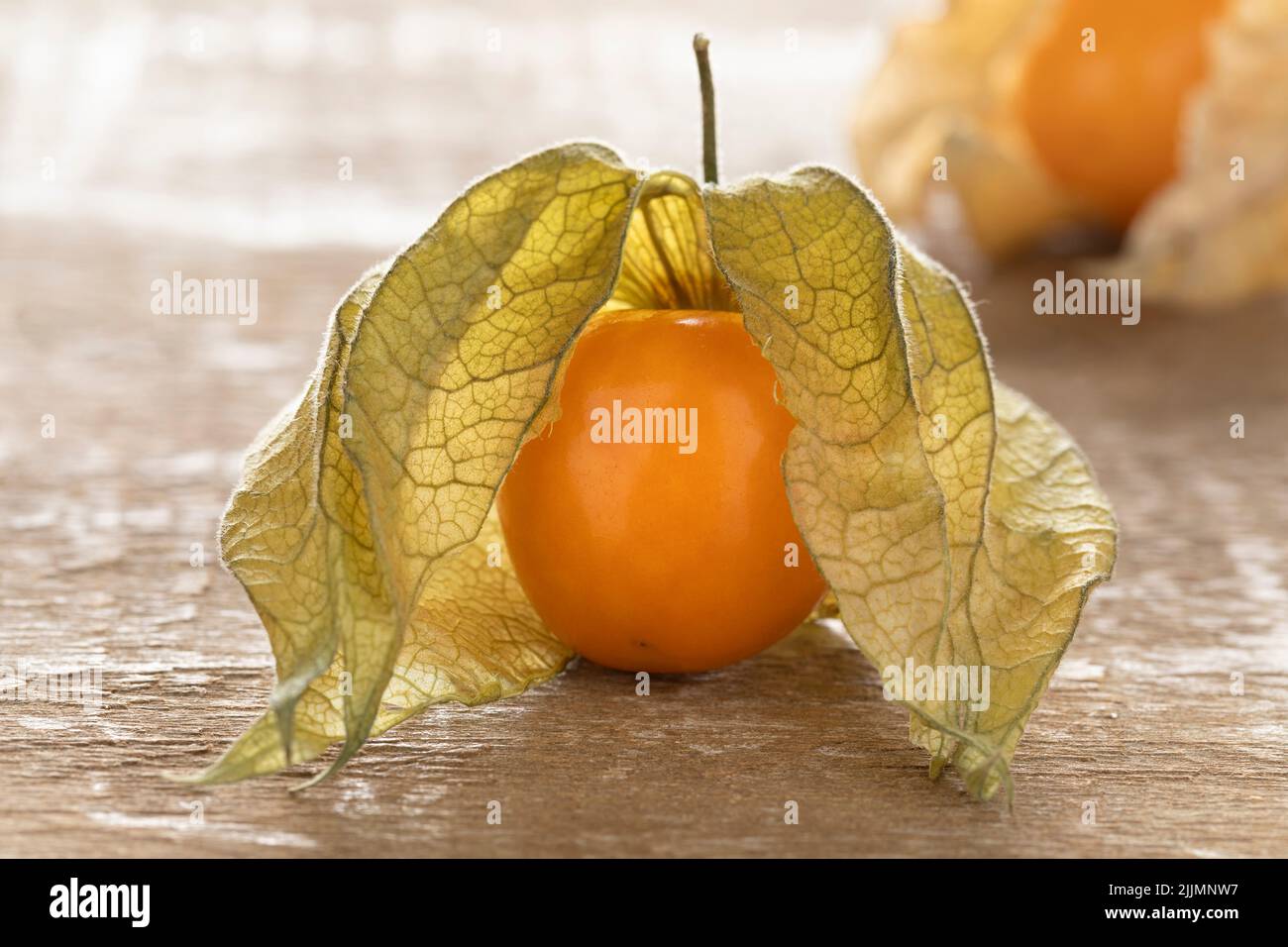 Single fresh Cape gooseberry, Physalis Peruviana, with husk on wooden background  close up Stock Photo