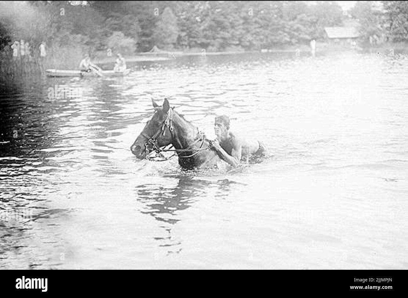Patrol field competition for horse 1934, swimming by horse. The beach is approaching - the horse bottoms - the rider rushes to get up on the horse's back. Stock Photo