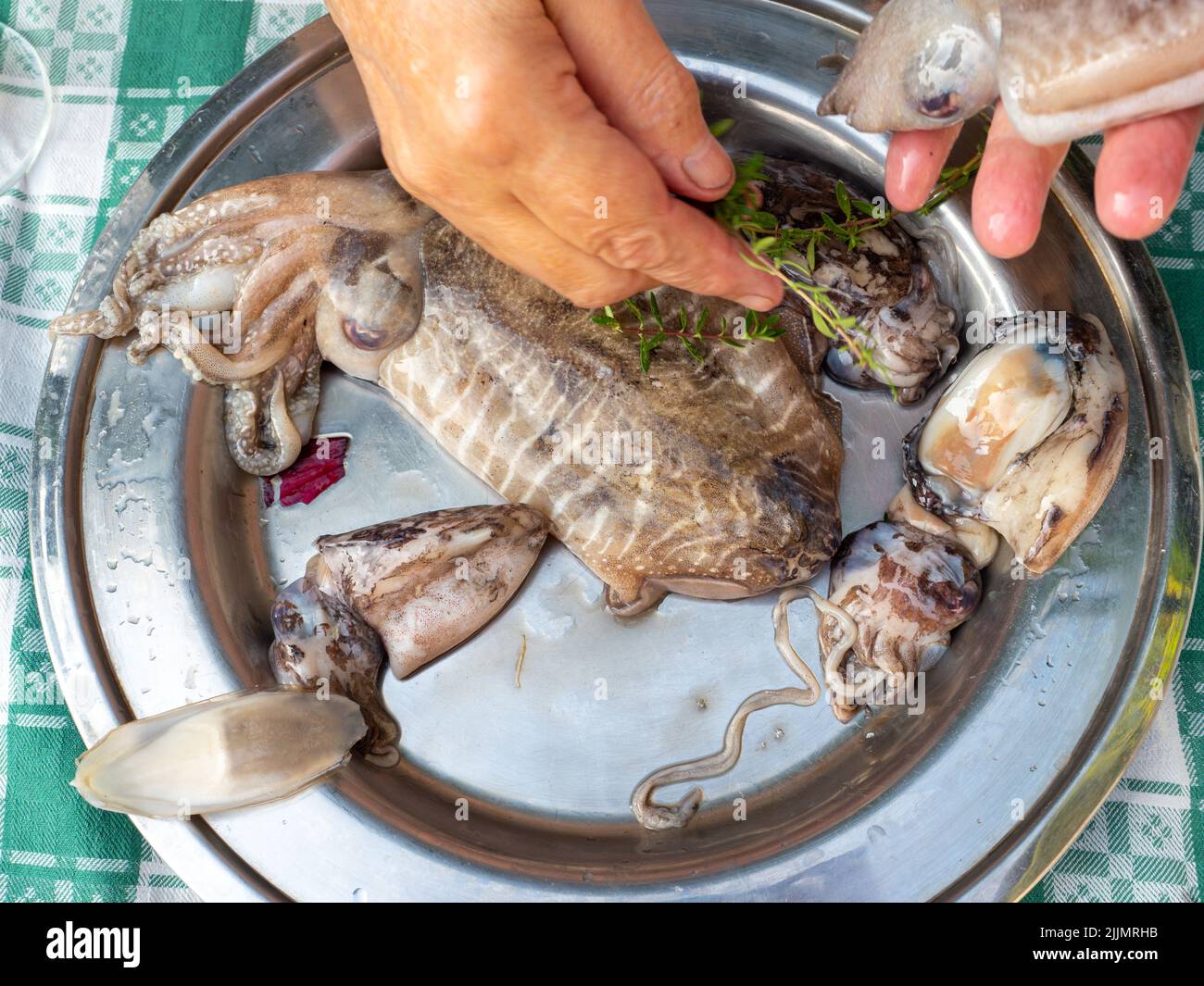 preparing common cuttlefish or European common cuttlefish (Sepia officinalis) Stock Photo