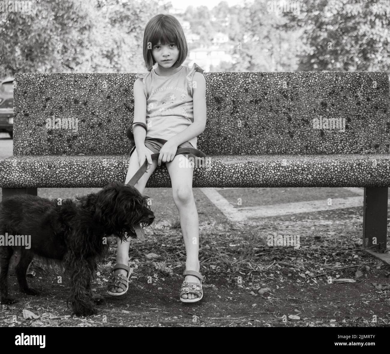 little girl walking the dog in a park Stock Photo - Alamy