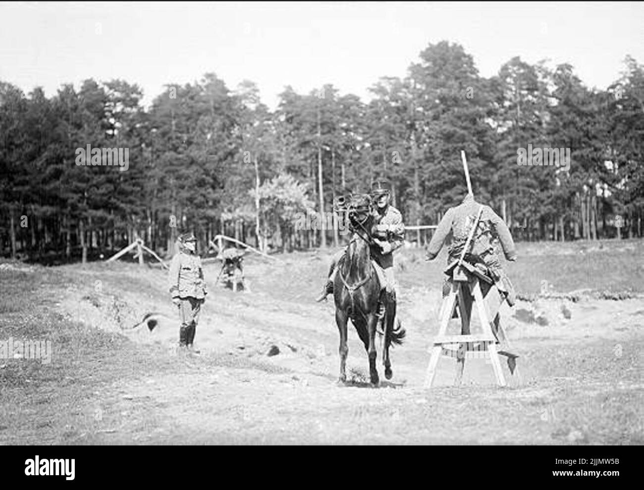 Saber fencing for horse. The various elements are described in