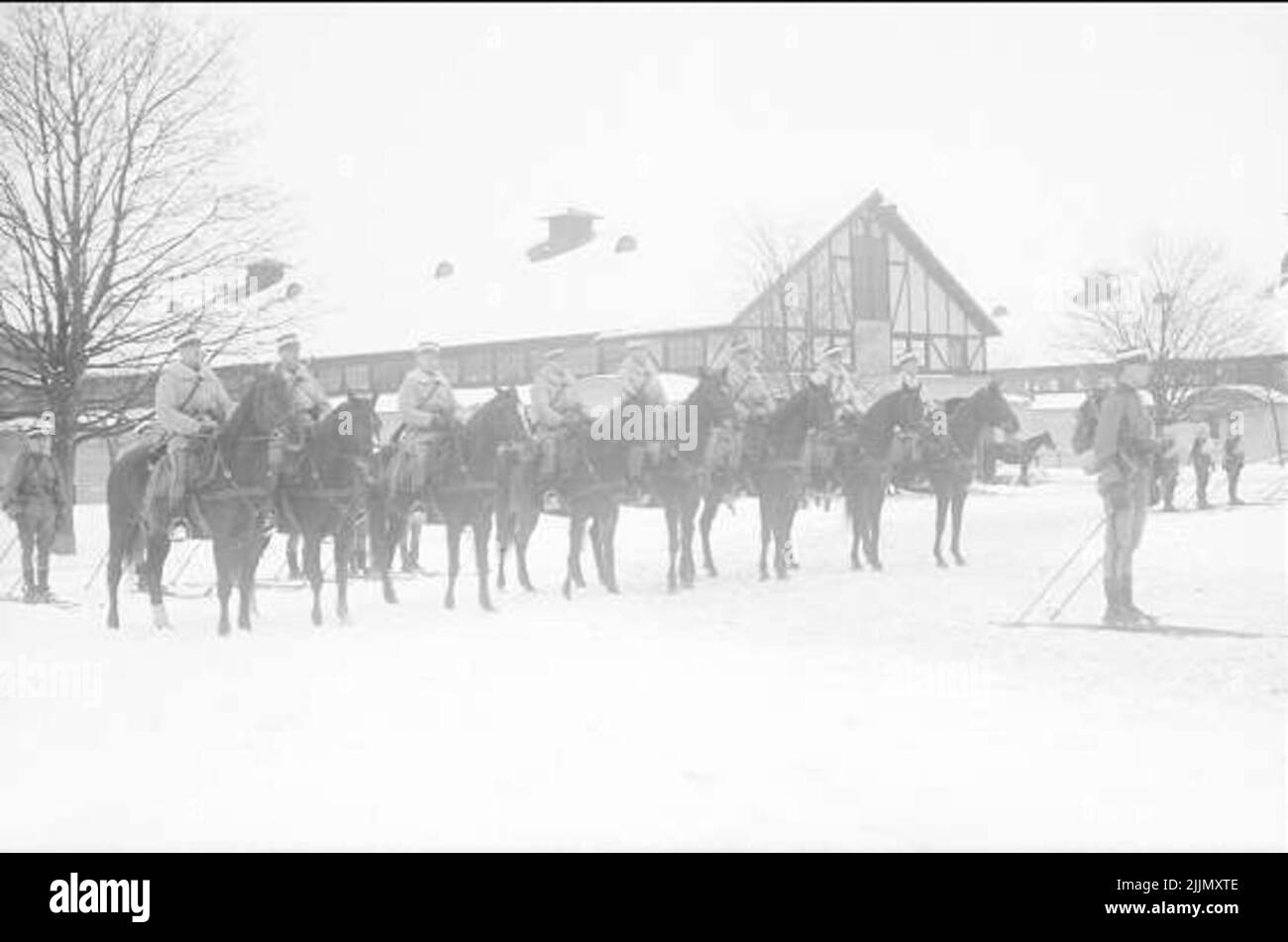 Rider platoon from 4. SKV winter organized. Pluton manager at skiing, plutch stf. on horseback. Two skiers interpret after each horse. Some horses pull sledding with heavy weapons after which a skier interpreted to be able to control the sledge and brake if necessary. Stock Photo