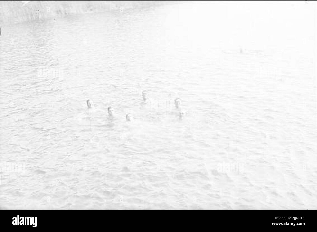4. Squadron bath and swimming lessons in Lake Sjötorp. Stock Photo