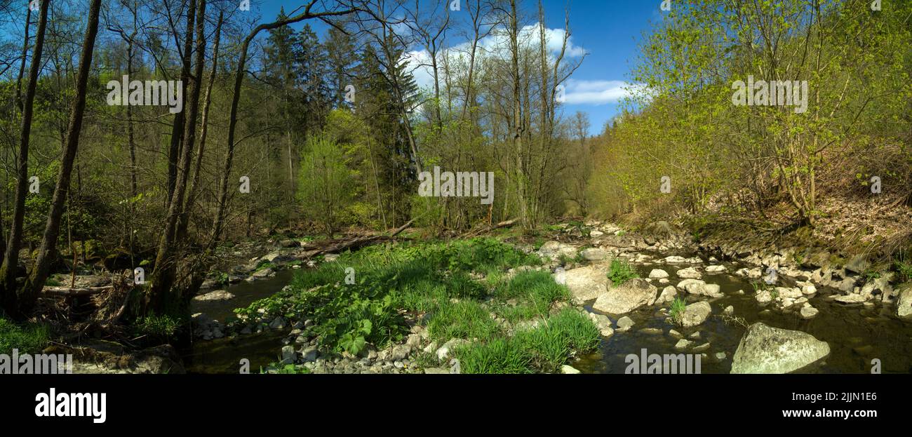 A scenic view of a river flowing through its rocky banks covered with ...