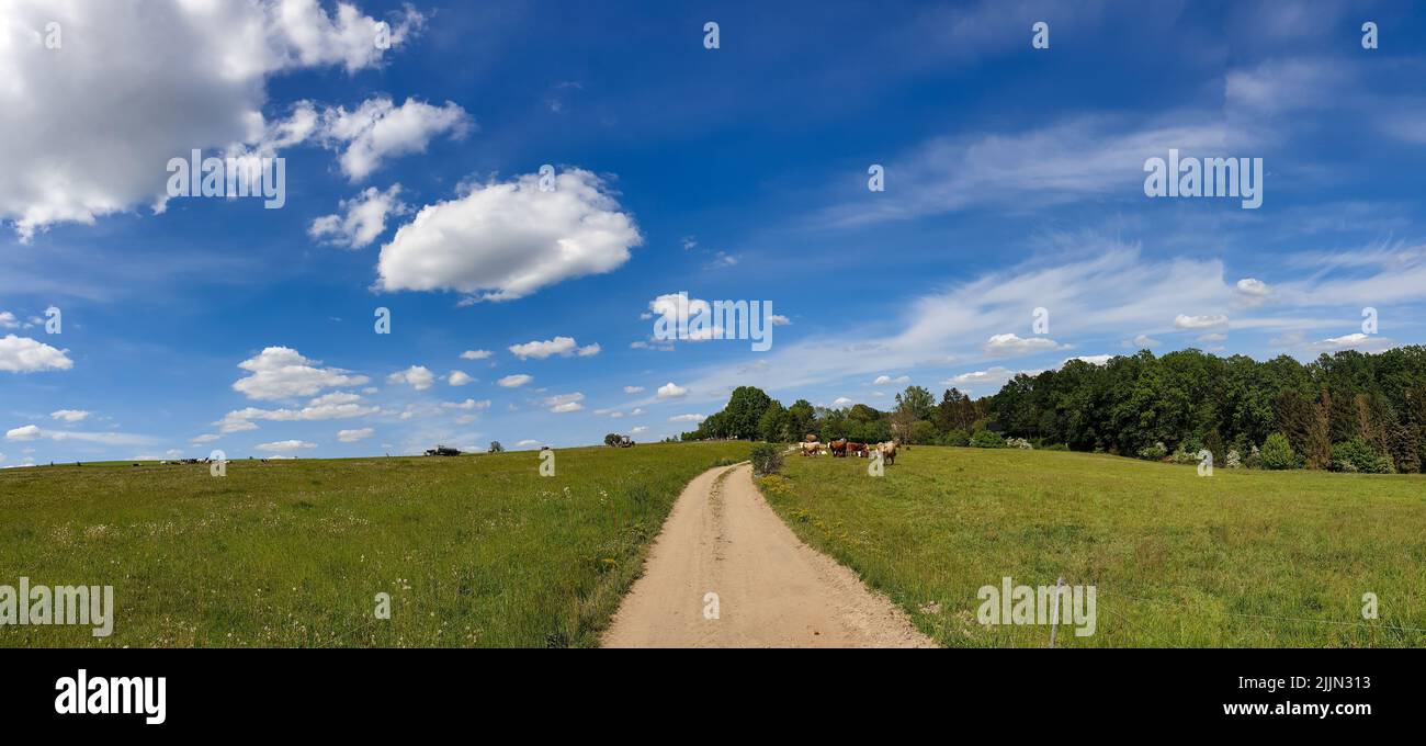 A scenic view of a sheep grazing near pathway in a green open field on a sunny day Stock Photo