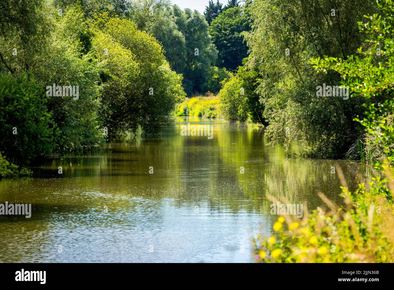 River Medway at Teston near Maidstone in Kent, England Stock Photo