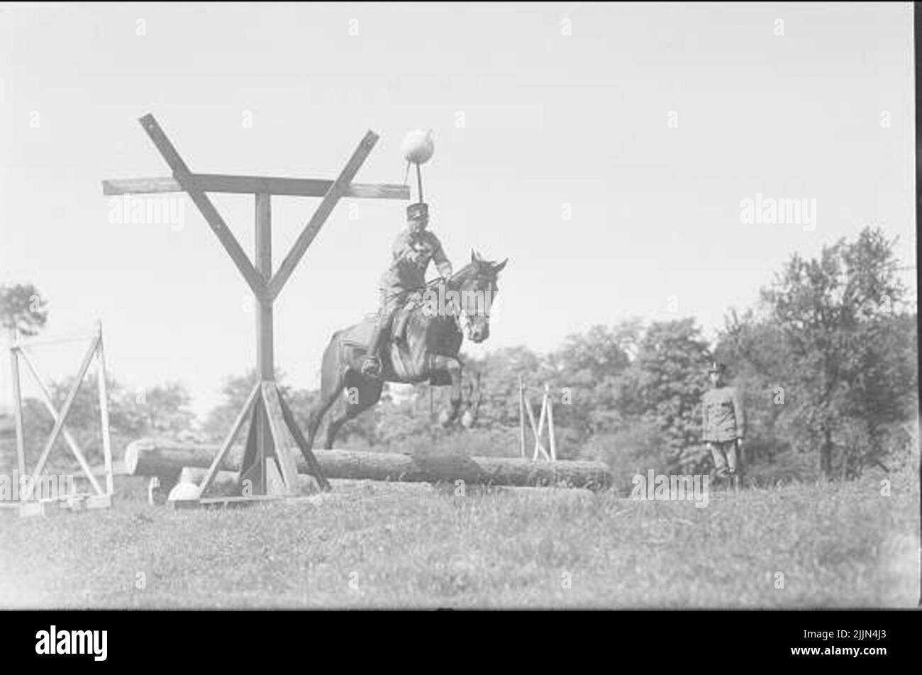 Saber fencing for horse Stock Photo Alamy
