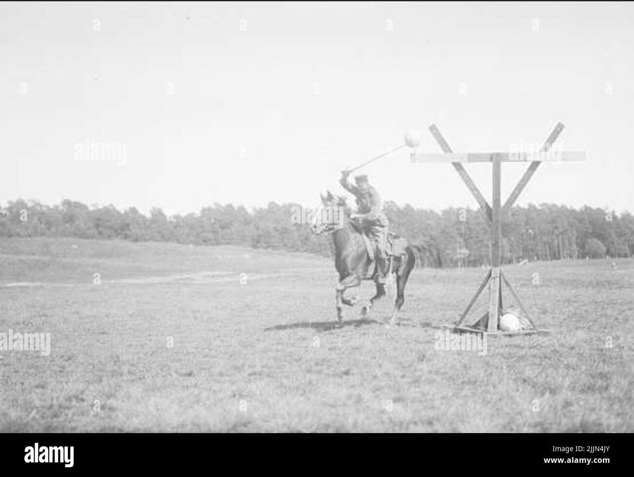 Saber fencing for horse Stock Photo Alamy