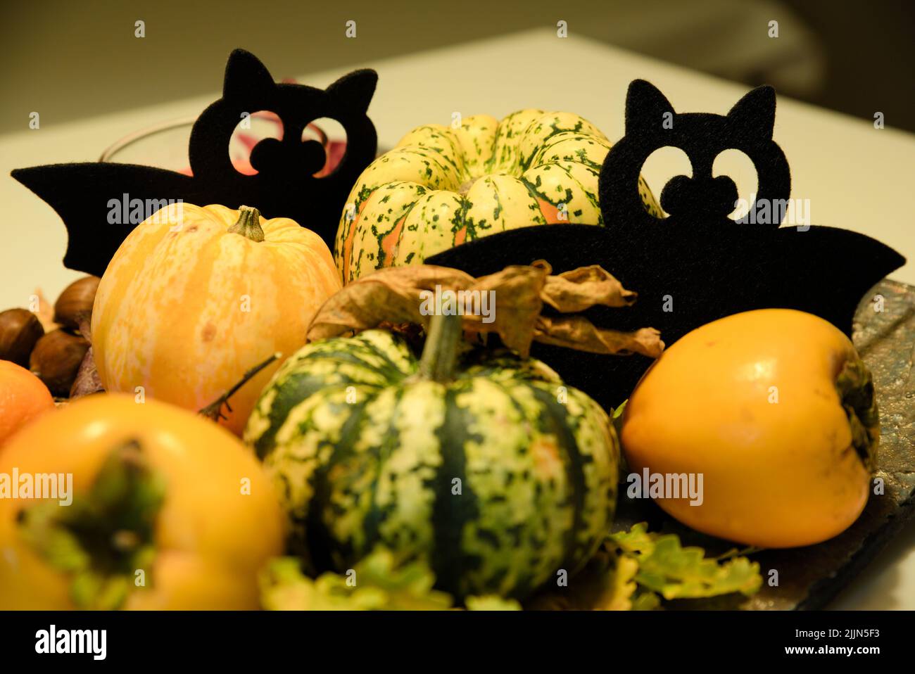 A closeup shot of yellow and green pumpkins with an image of bats in the background Stock Photo