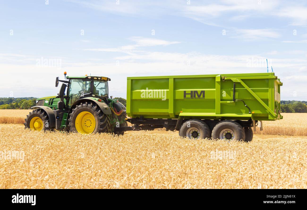 Tractor with a grain trailer in a harvested field. UK. August 2022. Stock Photo