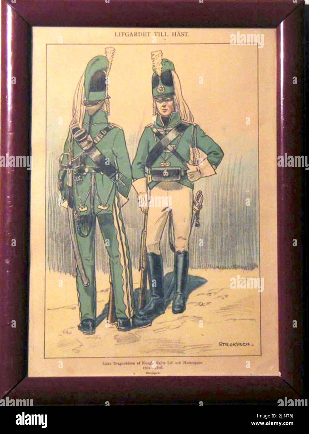 K3. Light Dragon Corps by Kongl May: ts LIF and wife ruts 1801-1806 ...