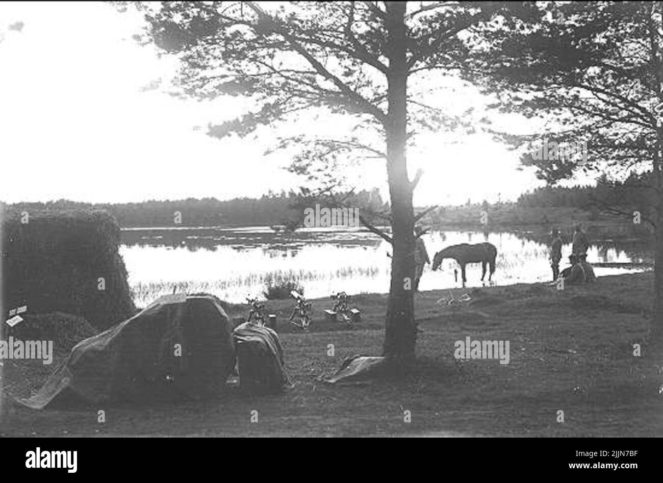 A mood from Hanken, "Patient" with hoof inflammation