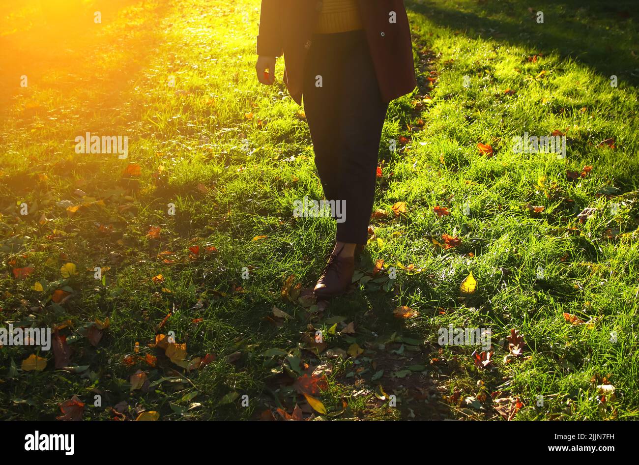 Defocus female legs in capri pants and brogues shoes on green grass with bright leaves. Bright stylish woman in orange coat walking in october park. O Stock Photo