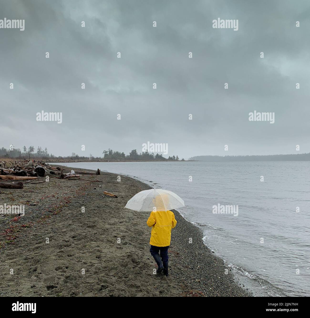 Rear view of a person carrying an umbrella walking on the beach in the rain, British Columbia, Canada Stock Photo