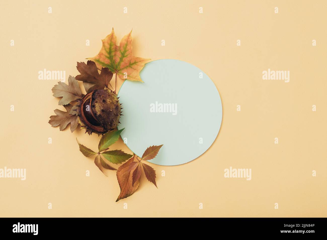 greeting card mockup congratulation fall leaves Stock Photo