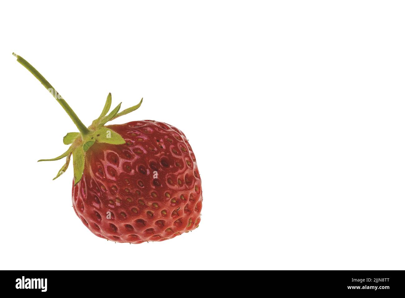 Macro view of red strawberry isolated on white background Stock Photo ...