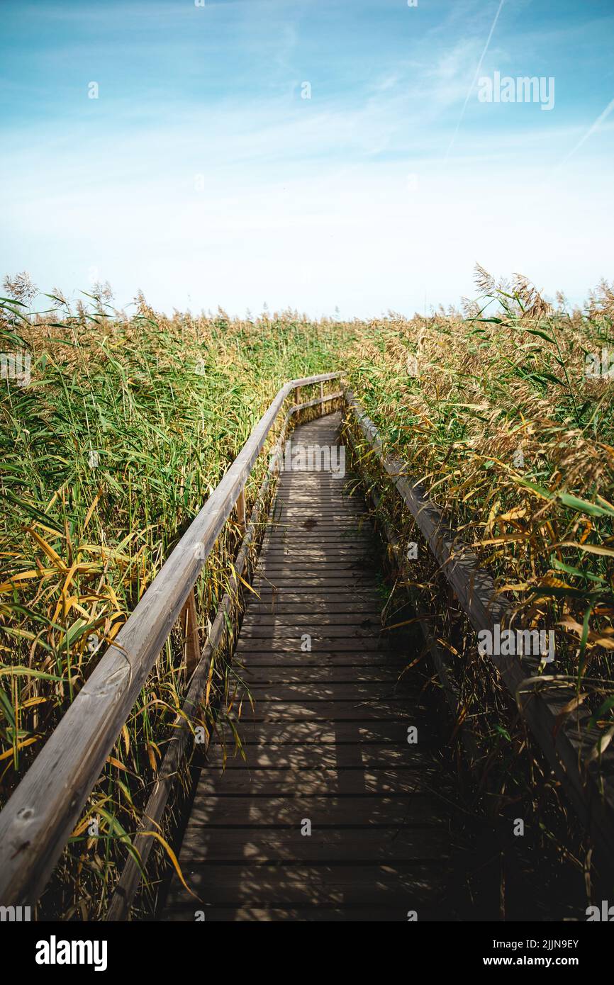 A vertical shot of a wooden dock on a rural field in Espoo, Finland Stock Photo