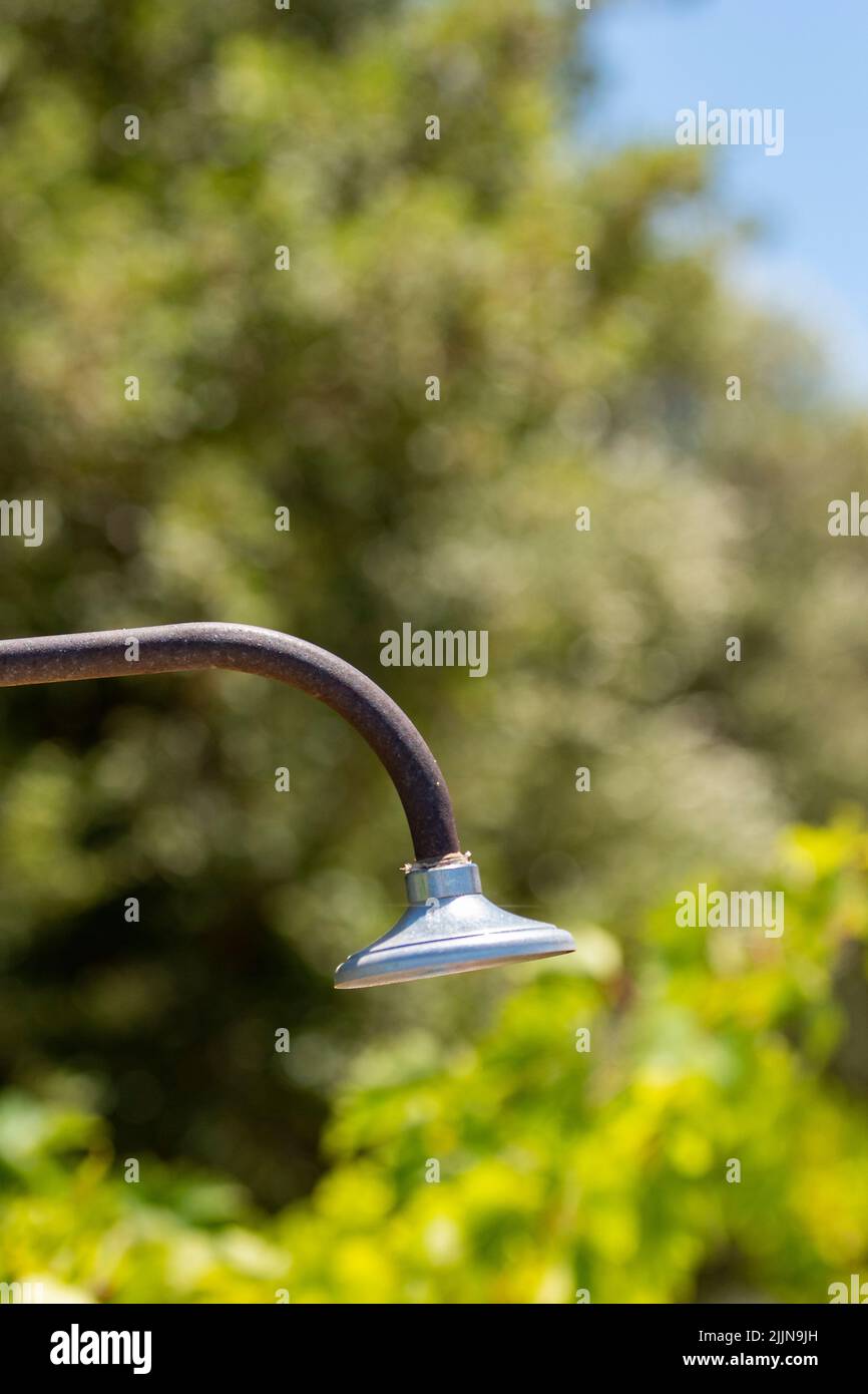shower head against a backdrop of trees and shrubs, outside garden