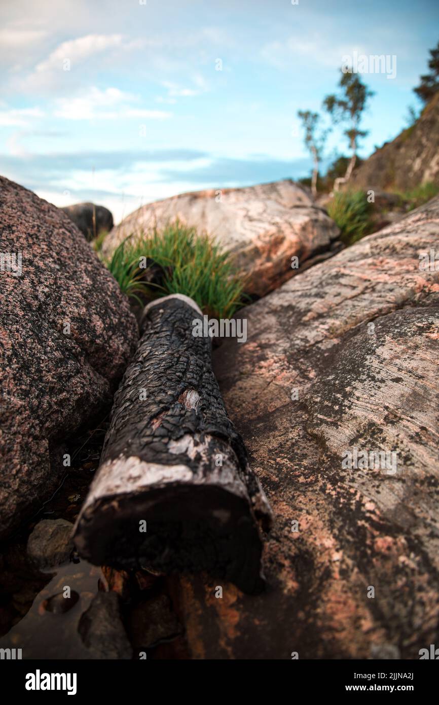 A vertical shot of a burnt log on a cliff Stock Photo