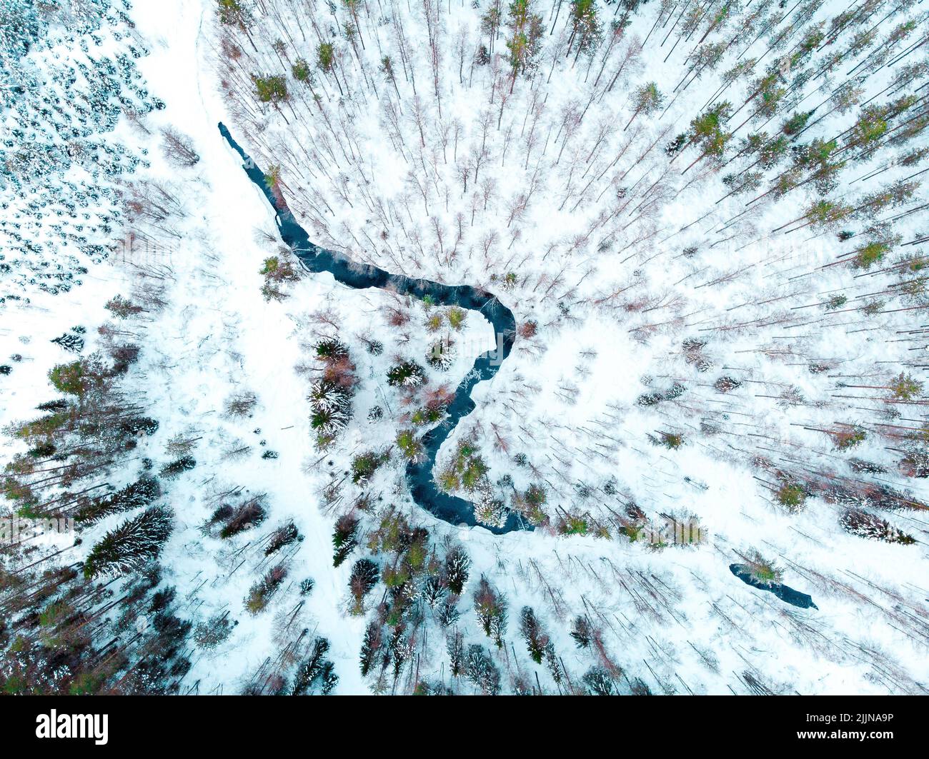 River flowing through forest snow hi-res stock photography and images ...