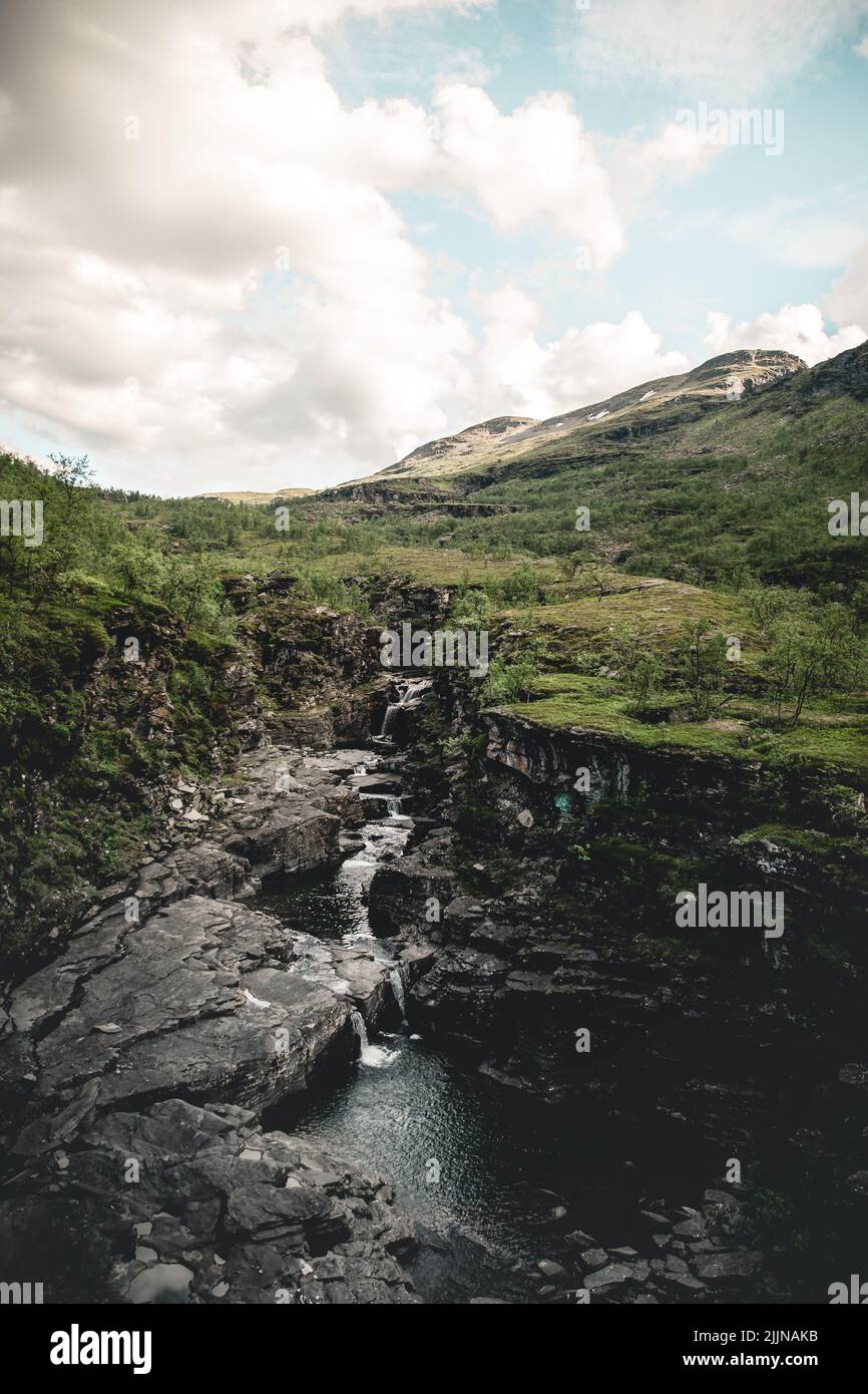 A vertical of a river flowing through a green plants under a cloudy ...
