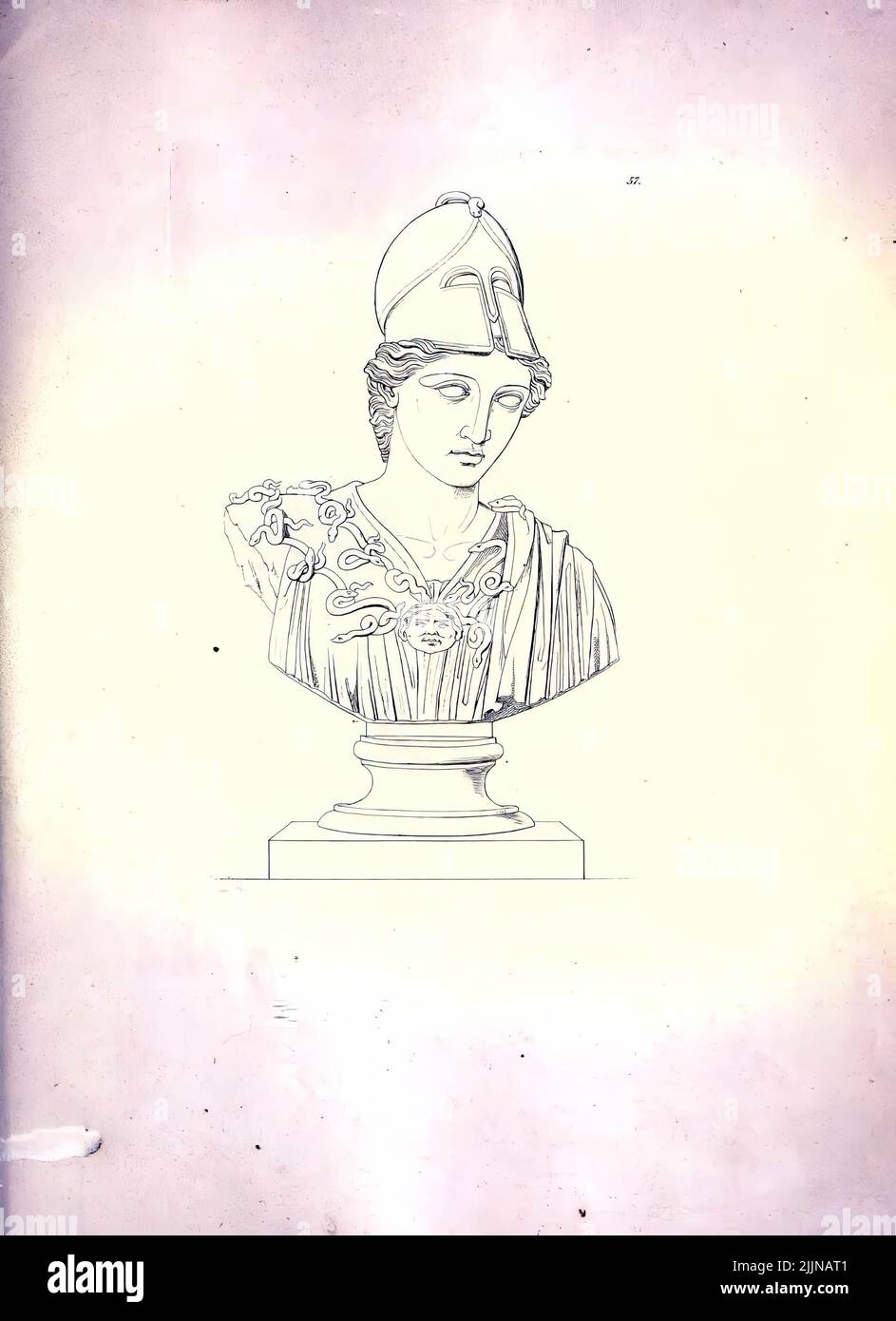 A photo of a19th century vintage illustration of the goddess Athena bust Stock Photo