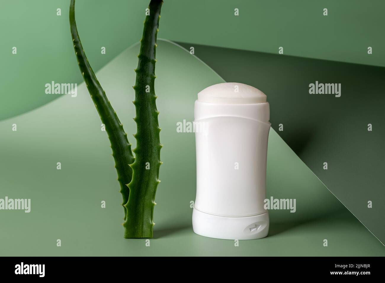 Solid antiperspirant deodorant near two fresh aloe leaves against green wavy background. Concept of natural herbal cosmetics and organic toiletries. Stock Photo