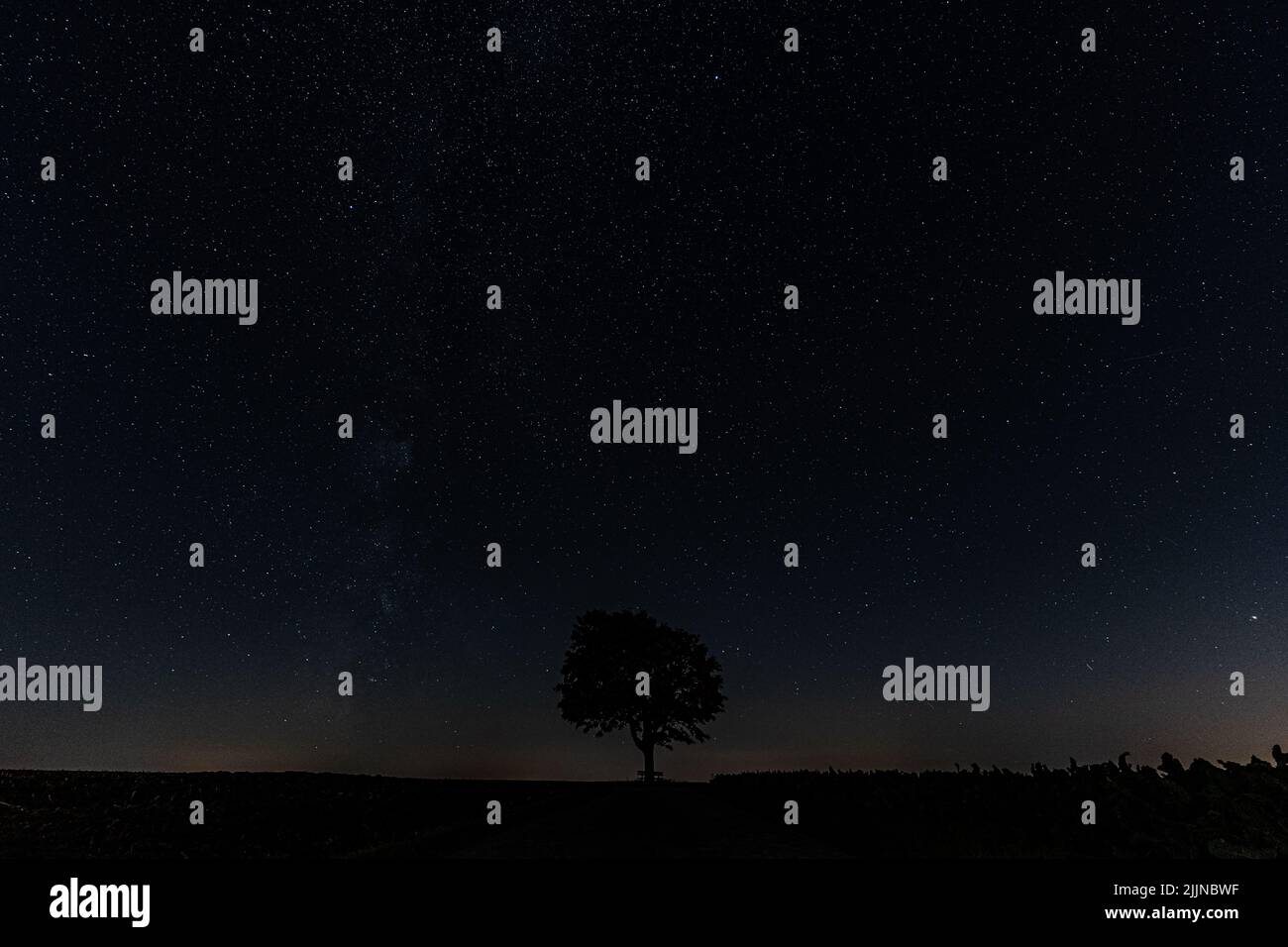 A silhouette of a tree against the starry night Stock Photo - Alamy