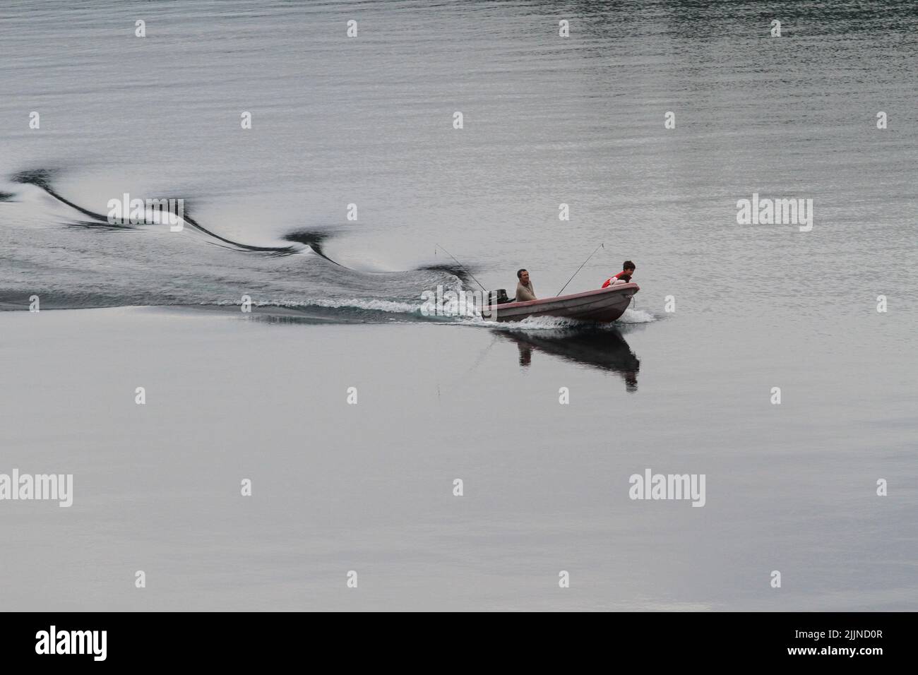 The Arrayanes forest in Argentina's Lake District Stock Photo - Alamy